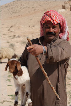 20120210-Syrian_Bedouin_Shepherd 2.jpg